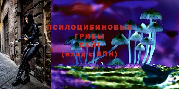 винт Киренск