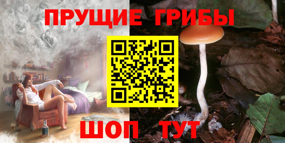 Галлюциногенные грибы GOLDEN TEACHER  Вход с VPN  Махачкала 